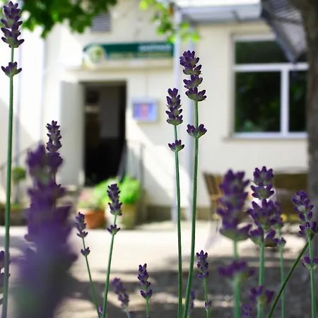 Hotel Luebsche Thorweide